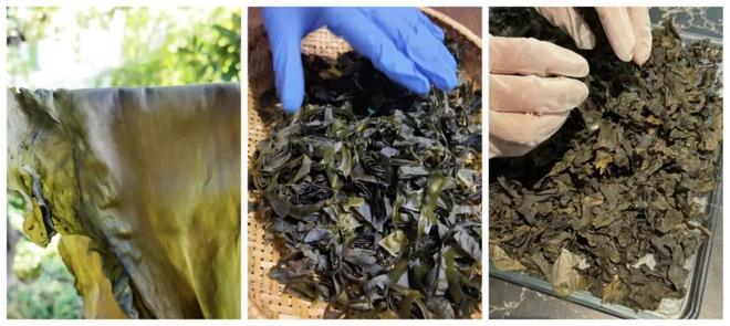 赛道却受年轻人追捧有公司年销70亿AG真