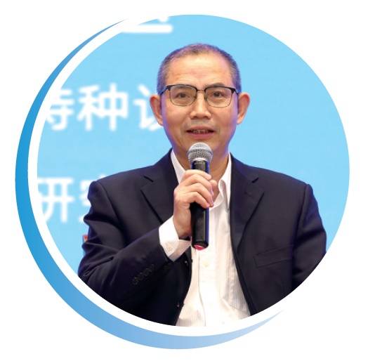 光为引 照见未来AG真人app以(图10)